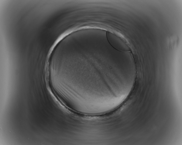 X0000086281522200704191935