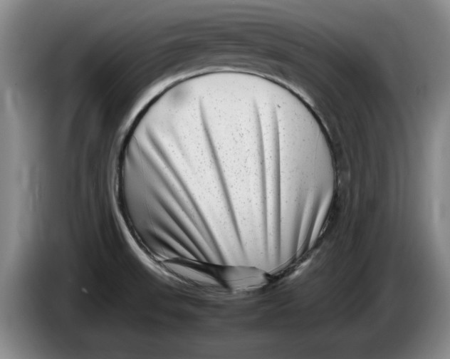 X0000086281523200704191935