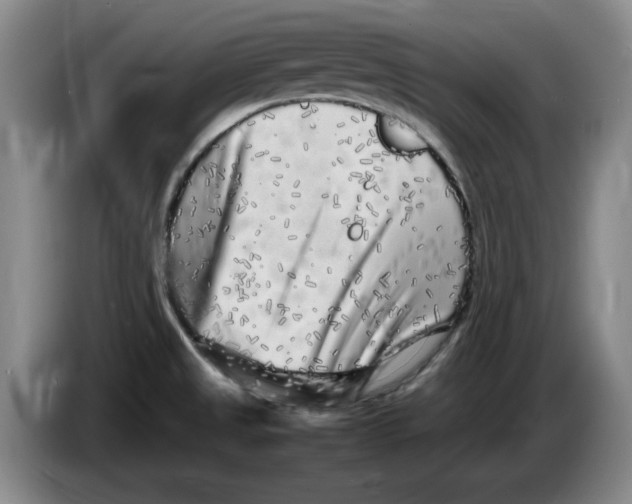 X0000086281525200704191935