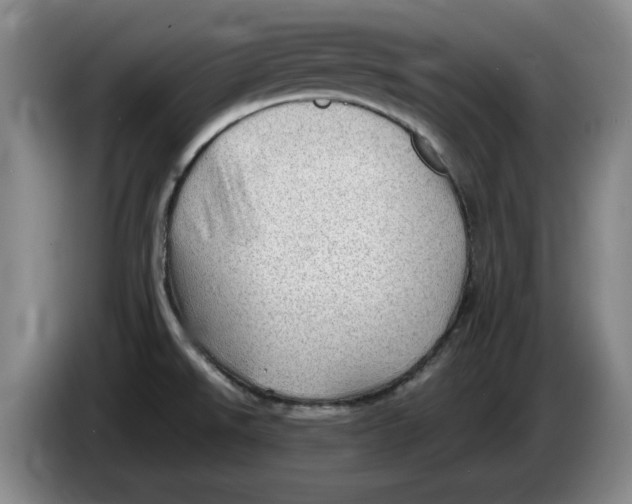 X0000086281526200704191935