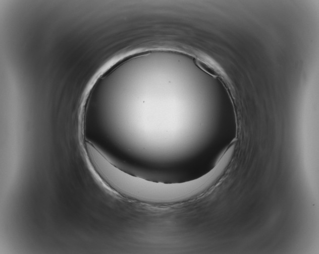 X0000086281528200704191935