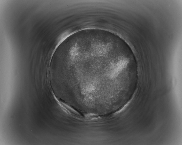 X0000086281529200704191935