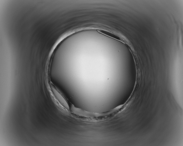 X0000086281530200704191935