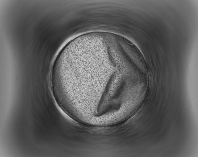 X0000086281531200704191935