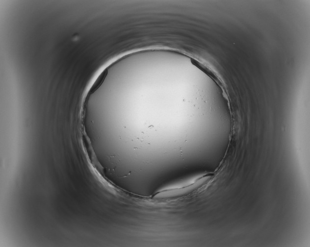 X0000086281532200704191935