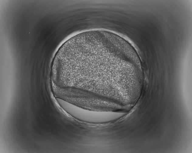 X0000086281534200704191935