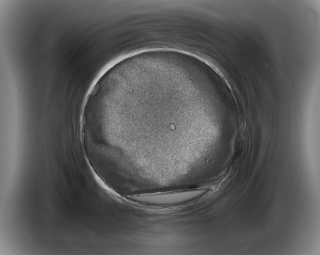 X0000086281535200704191935