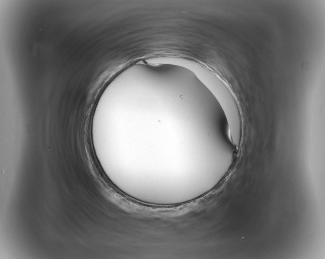 X0000086280001200704262045
