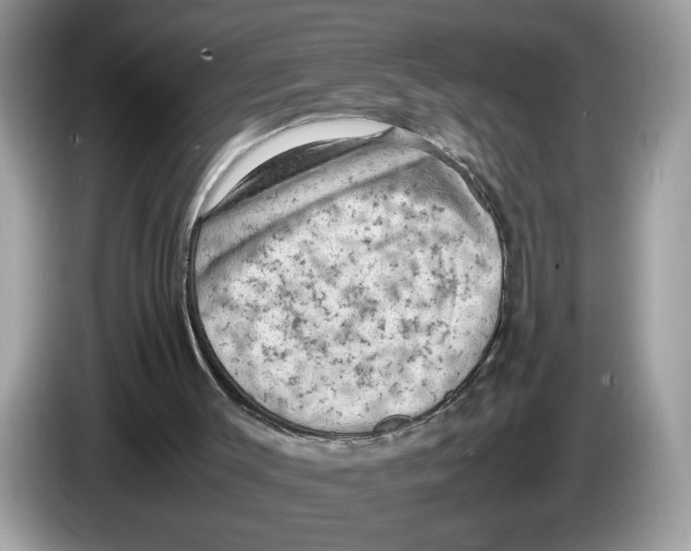 X0000086280003200704262045