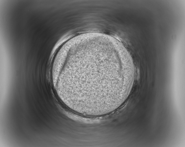 X0000086280004200704262045