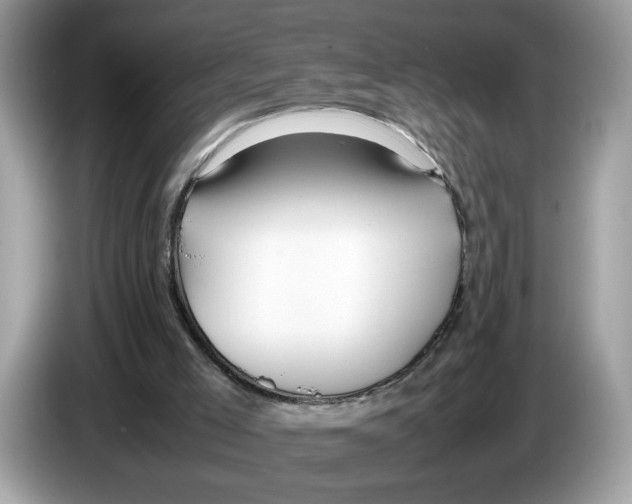 X0000086280005200704262045