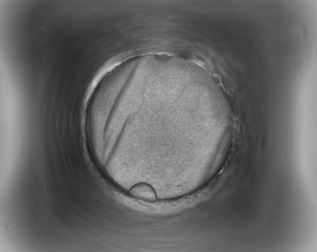 X0000086280006200704262045