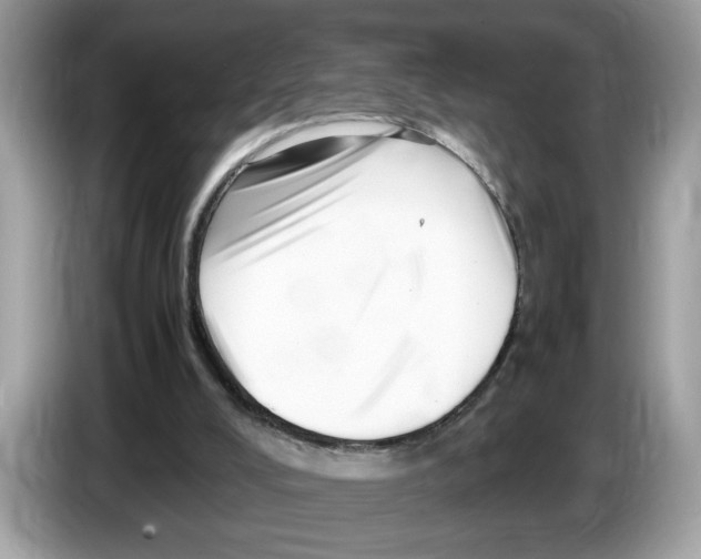 X0000086280008200704262045