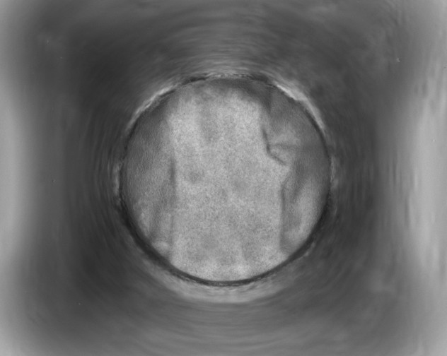 X0000086280010200704262045