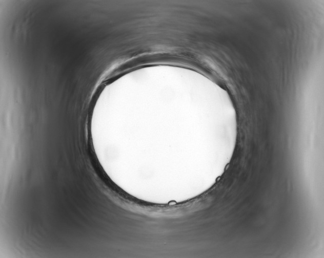 X0000086280011200704262045