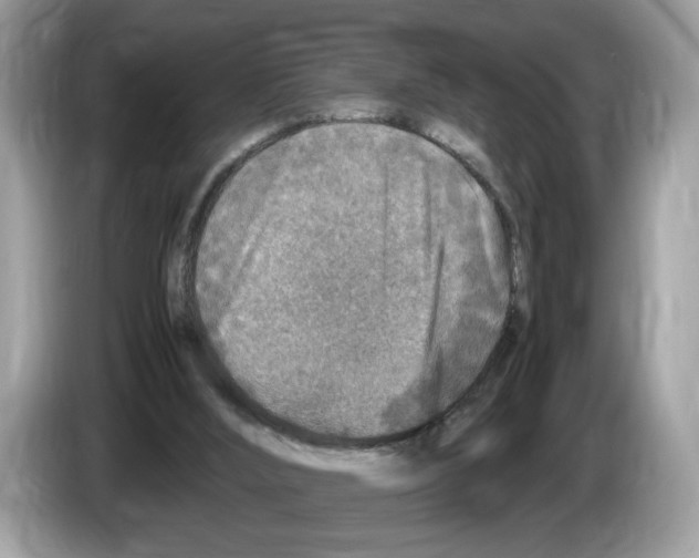 X0000086280012200704262045