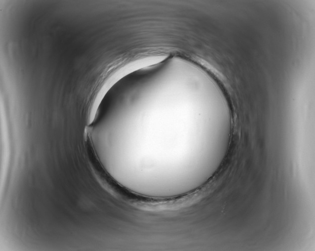 X0000086280013200704262045