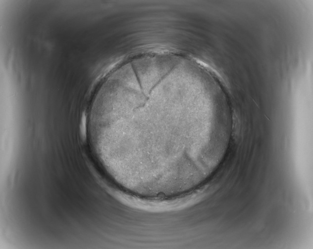 X0000086280014200704262045