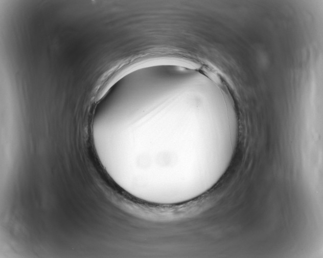 X0000086280015200704262045