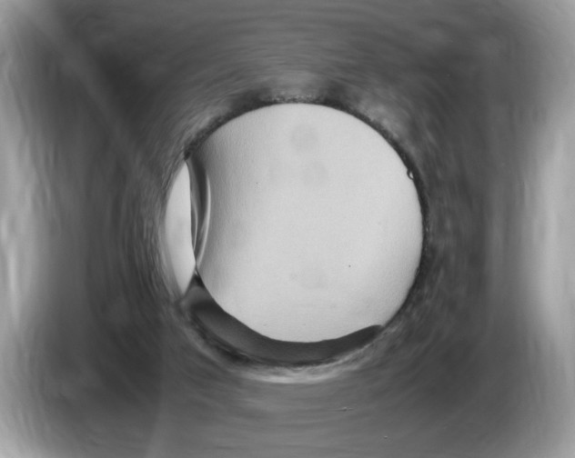 X0000086280017200704262045