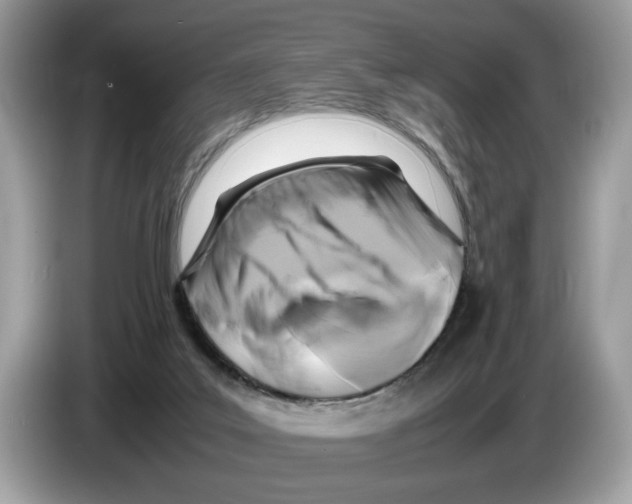 X0000086280019200704262045