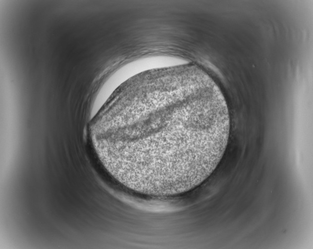 X0000086280020200704262045