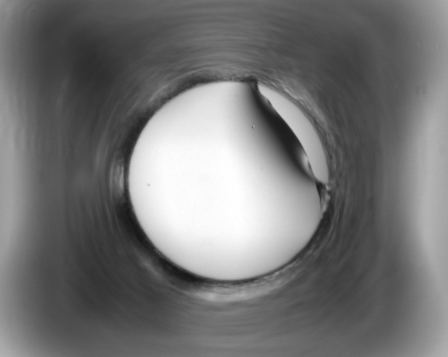 X0000086280021200704262045