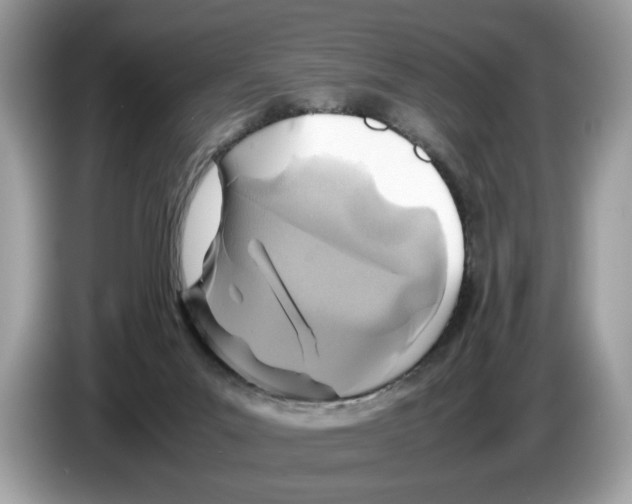 X0000086280023200704262045