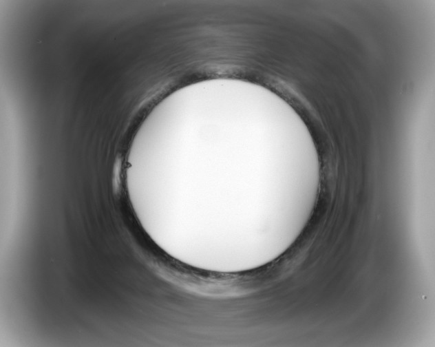 X0000086280024200704262045