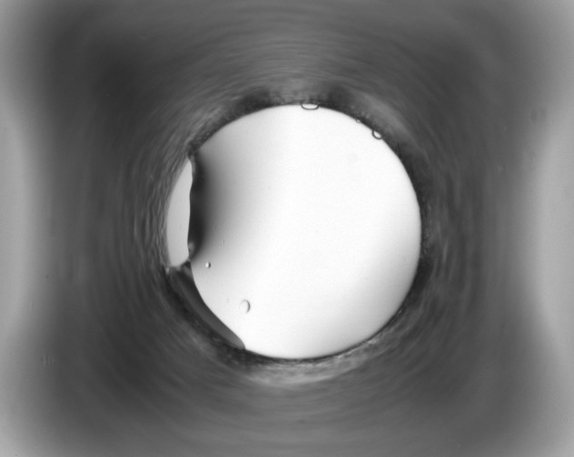X0000086280025200704262045