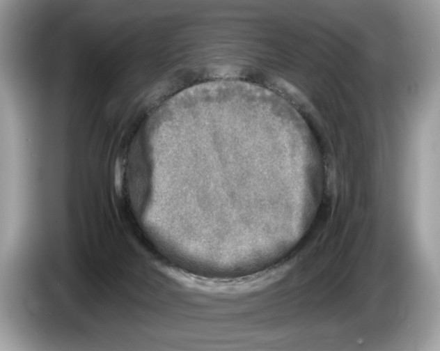 X0000086280026200704262045