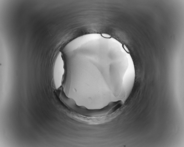 X0000086280027200704262045