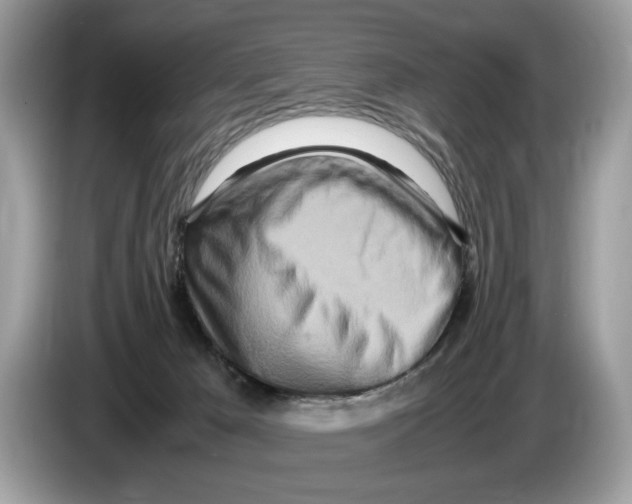 X0000086280029200704262045