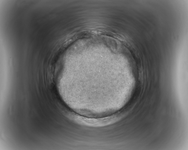 X0000086280030200704262045