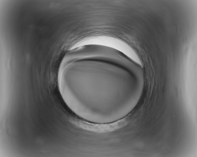 X0000086280031200704262045