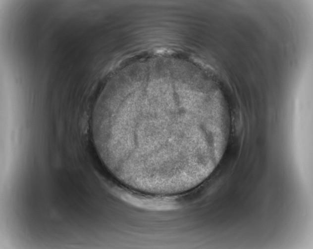X0000086280032200704262045