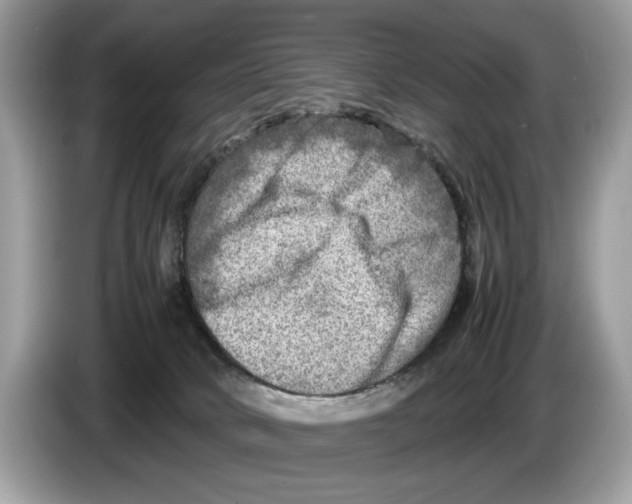 X0000086280034200704262045