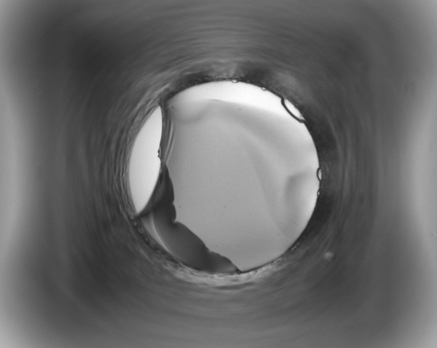 X0000086280035200704262045