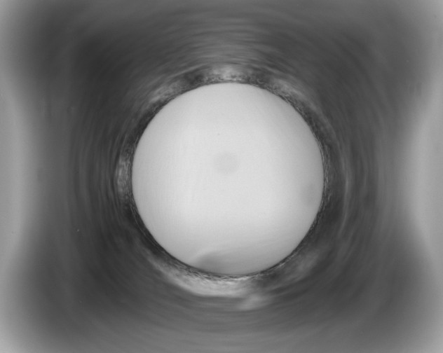 X0000086280036200704262045