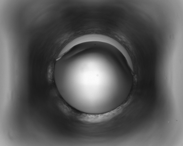 X0000086280037200704262045