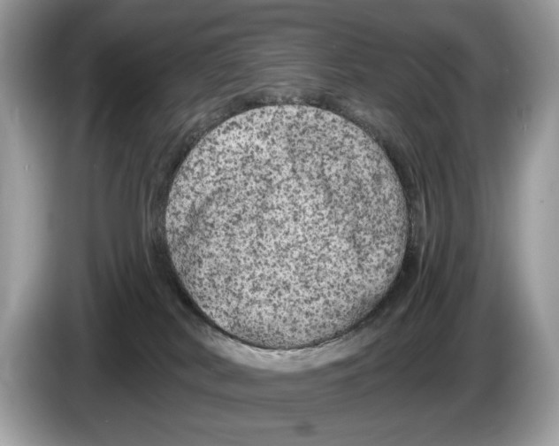 X0000086280038200704262045