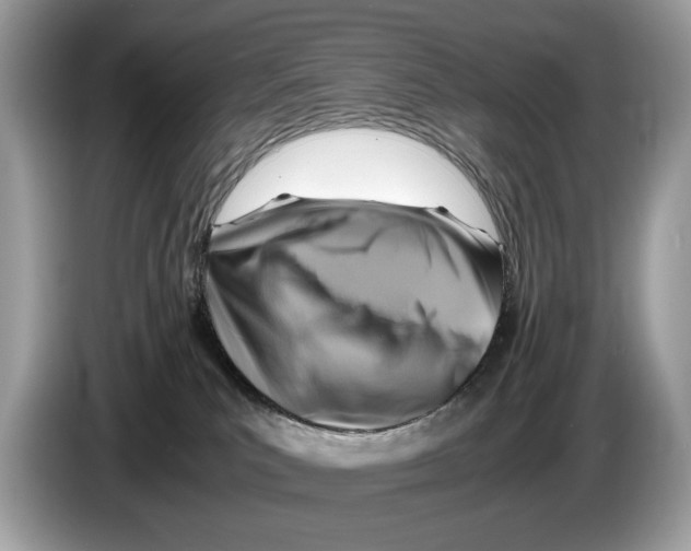 X0000086280039200704262045