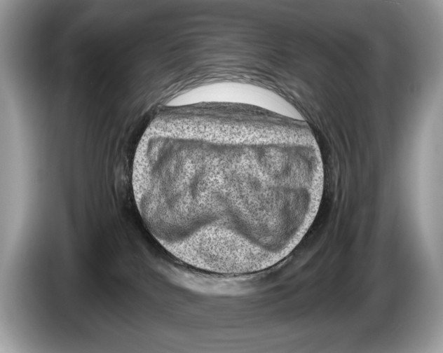 X0000086280040200704262045