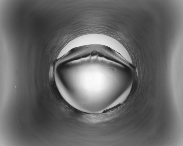 X0000086280041200704262045