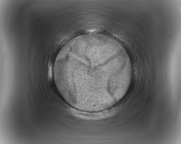 X0000086280042200704262045