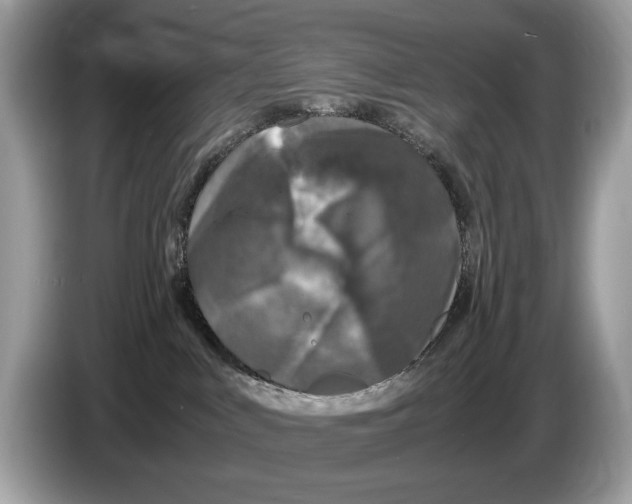 X0000086280043200704262045