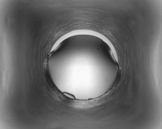 X0000086280045200704262045