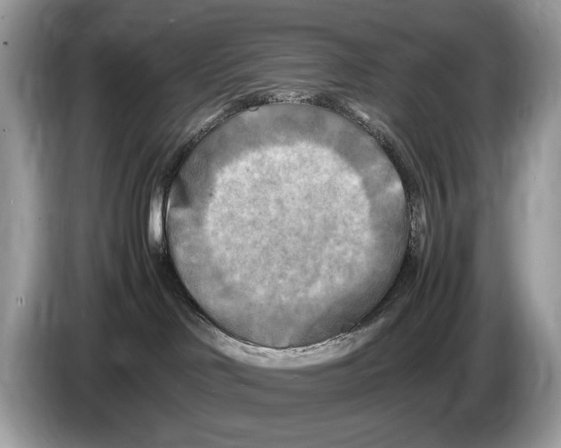 X0000086280046200704262045