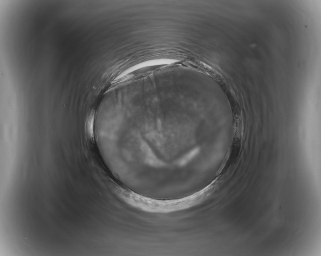 X0000086280047200704262045