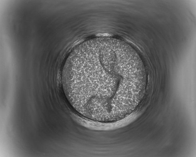 X0000086280048200704262045